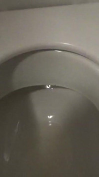 厕所帮派
