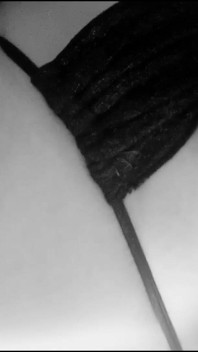 I'm Cumming for You