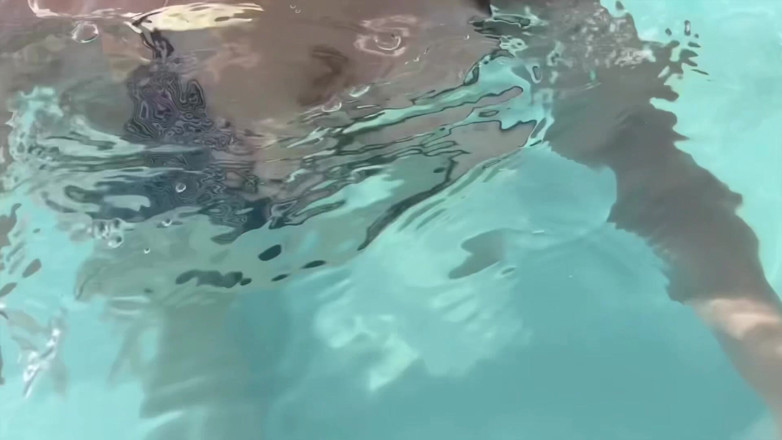 Artemisia Love: Artemisia Love Flashing Her Juicy Big Tits at the Pool