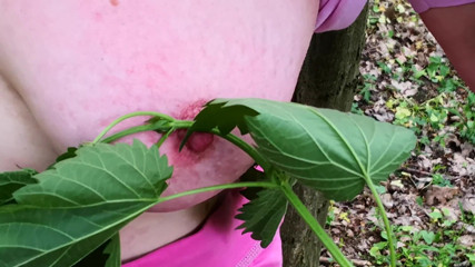 Bouncy Tits Action: Chicotee meus peitos com urtigas