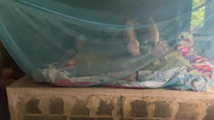 Fampfy Nana: 나는 가장 아름다운 교사다