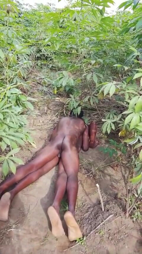 Sexydaddy: İki Afrikalı herdsmen çalıda seks yapıyor