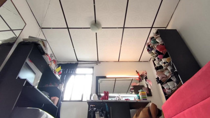 Isabel: Các hạt