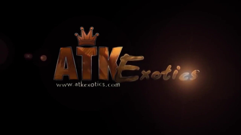 Classic ATK Exotics: Toys Time