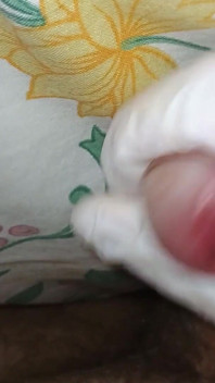 In the Bed Masturbation