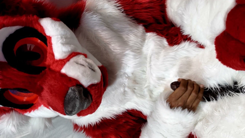 PawgrammerSocks: Furry in Full-body Fursuit Pisses on You, Then Cums Over...