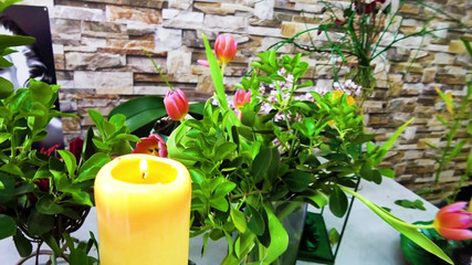 Goddess Celine: 키스 독 아이비 '의 녹색 입술