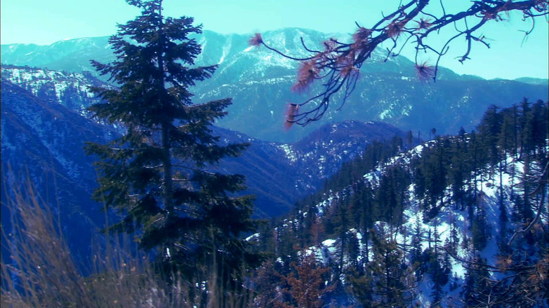 Perv Milfs n Teens: Velicity Von mengongkek dunia jantan ini dengan tetek besar dan...