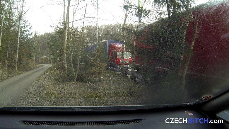Czech Bitch: Česká děvka 12: Zrzavá kundička