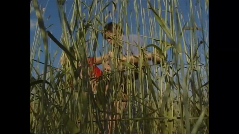 Purzel Official: Te estoy en el campo