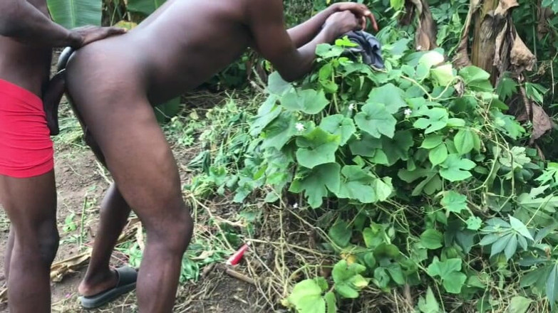 Sexydaddy: 农场里的户外性爱