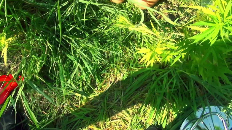 Cumbizz: Balls very deep out door BBC pounding!