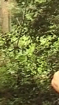 Si rambut coklat matang yang bertetek besar mengusik jauh di dalam hutan