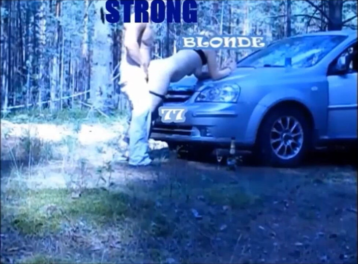 StrongSrg: Ormanda tatil