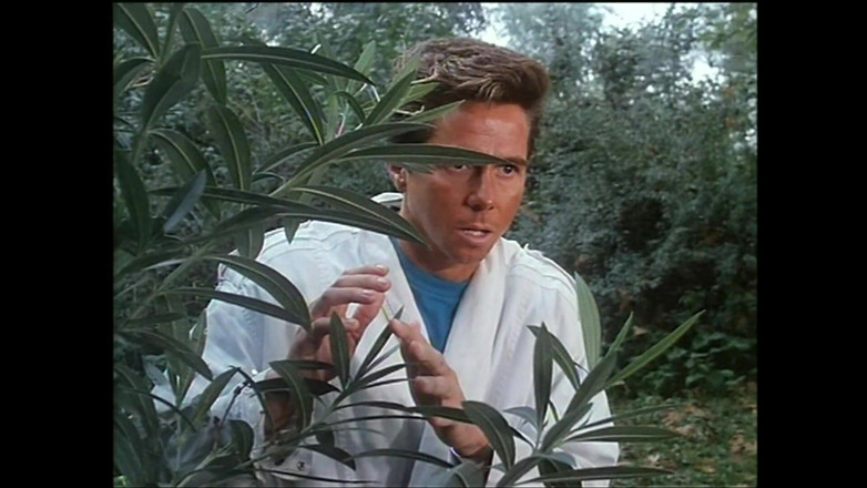 Rocco Siffredi and Friends: Moana Pozzi dan seorang lagi si jalang dengan pepek berbulu...