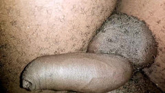 Judith xxx: Моя вечірня любов