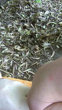 Mylene Johnson Mylene-johnson_kevin-white_terry_mo_01