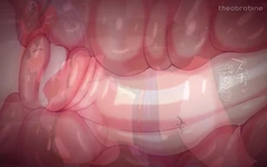 Genshin Kujou जोरदार सेक्स