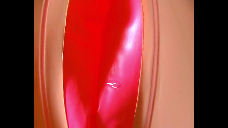 Mark Hannes: セックスドールの中出し ベッドでのマスターベーション