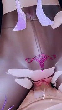 Digitale Aphrodite Dateien: Curves in Motion - 3D Animation Hentai