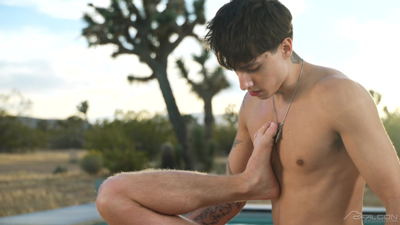 Falcon Studios: Sexuální objekty