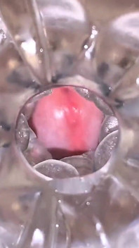 Close-up Cock in Tool for Masturbate Orgasm on Flash