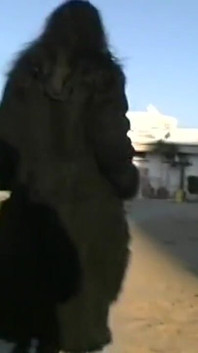 풀 영상! - 핫한 섹스 스캔들 - 아름다운 포르노 스타와 함께하는 흥미진진한 영화