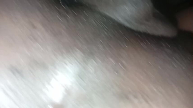 Africatrans: Prosím, nedávejte mi to všechno do zadku.