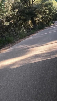 Tettona scopa sul lato della strada