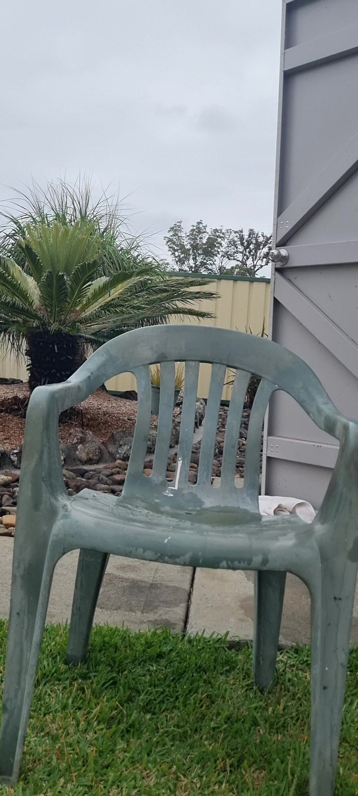 yogiyumyum: Back Yard Piss