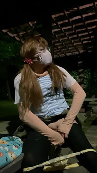 No. 282 a Nighttime Exhibitionist Stroll in the Park