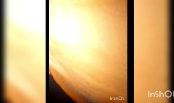 Pornsexlive: Anh rể của tôi đụ tôi