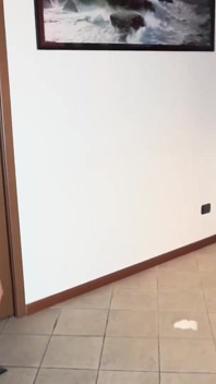 Domina fode sua bunda com um vibrador