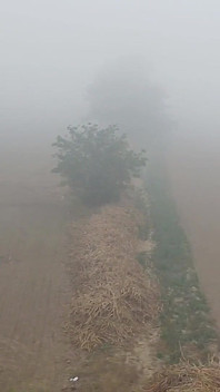 Indischer Papi Zieht Sich Im Frierenden Winternebel Aus