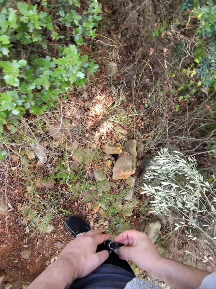 Sofy13: Alla Ricerca Di Un Angolo Nella Foresta per Farsi Scopare