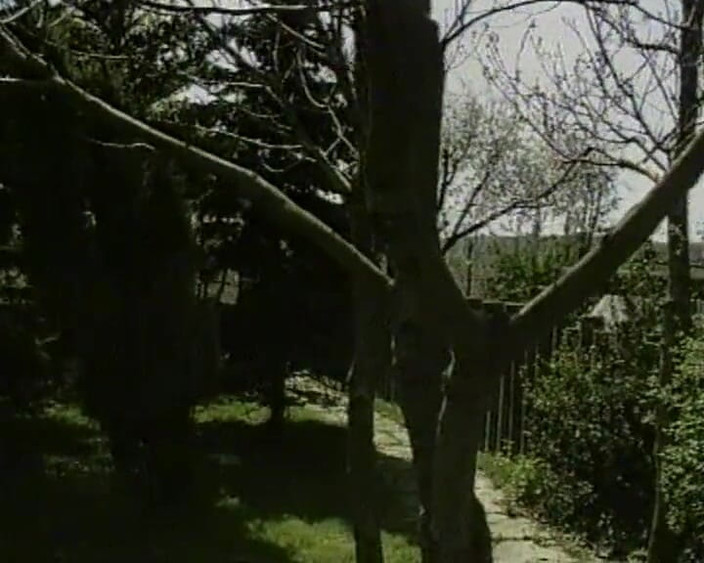 90s Vintage Taboo: Sürtük yarağı derinden sikiyor #1