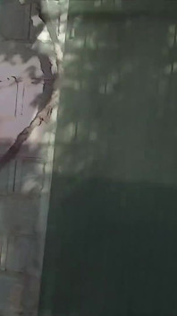 Chicas jugando con chico mayor como quieran