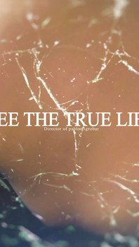 Still Not Hard? Drag Your Broke Ass to Faphouse.com/models/pablon3grobar