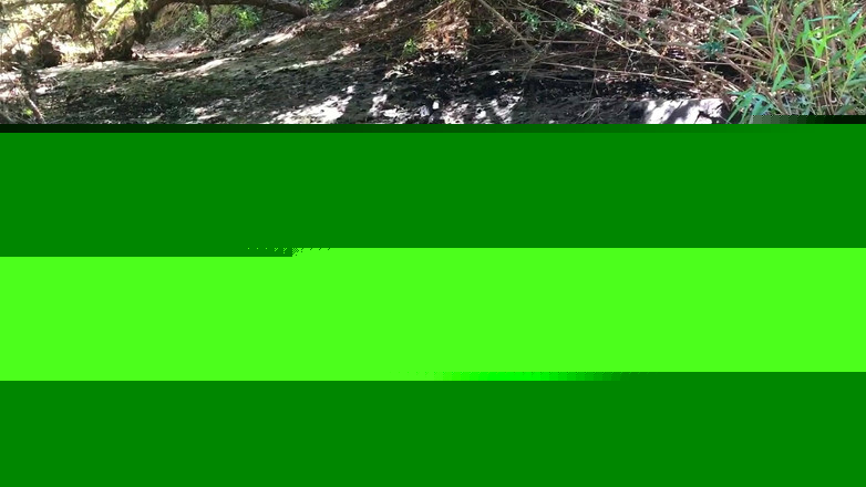 kactus kutie: Abkühlen im Creek