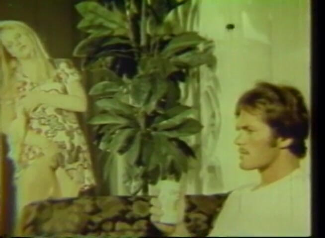 Vintage Usa: Vintage couple cock sucking pussy fucking