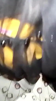 The Yellowish-yellowish Is the Black Black Black Gow and Puts the Tea
