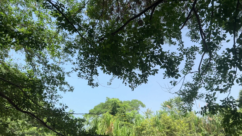 Duoafroditas: I Have a Hard Fuck with a Young Unknown Latino...