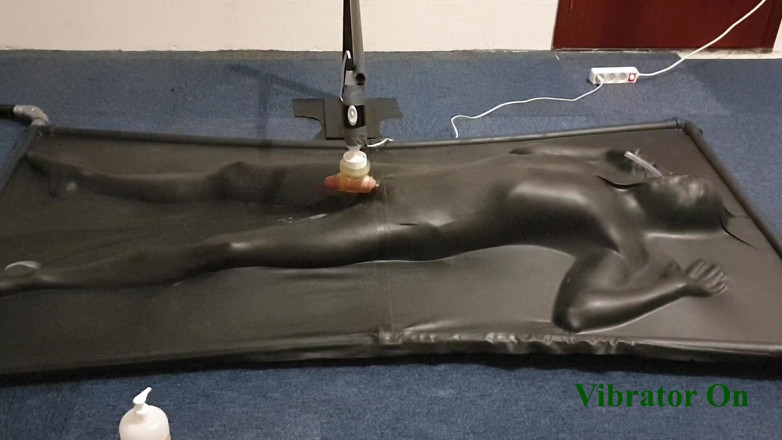 NL Milking: Dojení řízeným vibrátorem ve vakládě