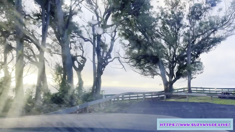 Suzy Wylde: Sfw 在毛伊岛怀莫库瀑布的 Suzy Wylde 到 hana 的 Sfw 公路旅行