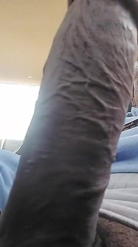 Top Dick This Time