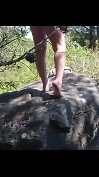 Moranguinho in forest