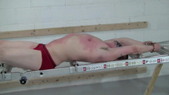 Dream Boy Bondage: 工作的人 - 第2章