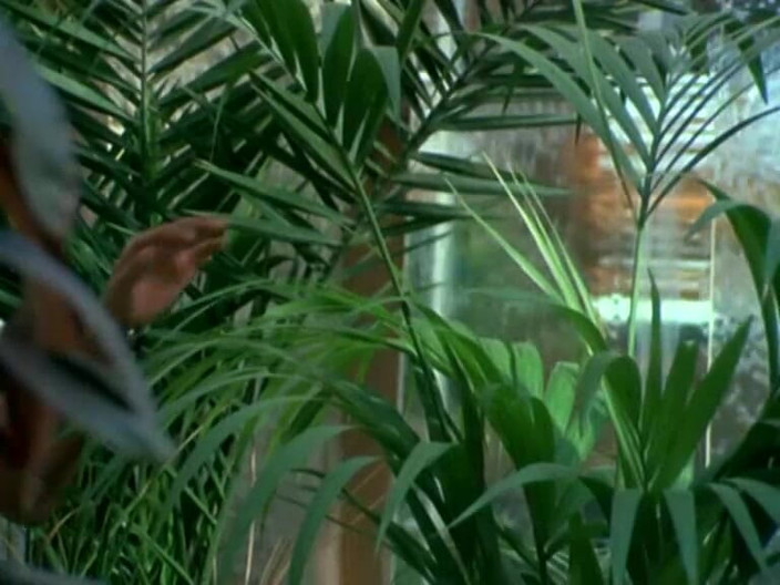 Java Consulting: Morgane di sofa: 69 dan pancutan mani.