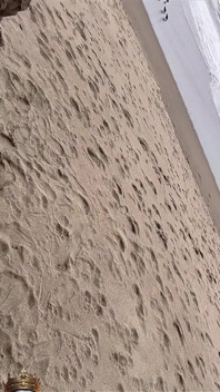 Marley Bee succhia il cazzo ad Ocean Beach a San Francisco