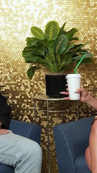 Tlustá milfka Richelle Ryan se rozbije ve zbrusu novém hřebci a vezme mu mladého ptáka